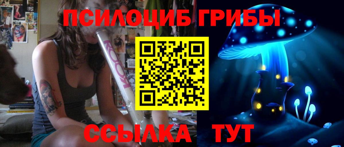 Псилоцибиновые грибы Psilocybe Биробиджан